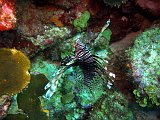 Curacao 04-12 388
